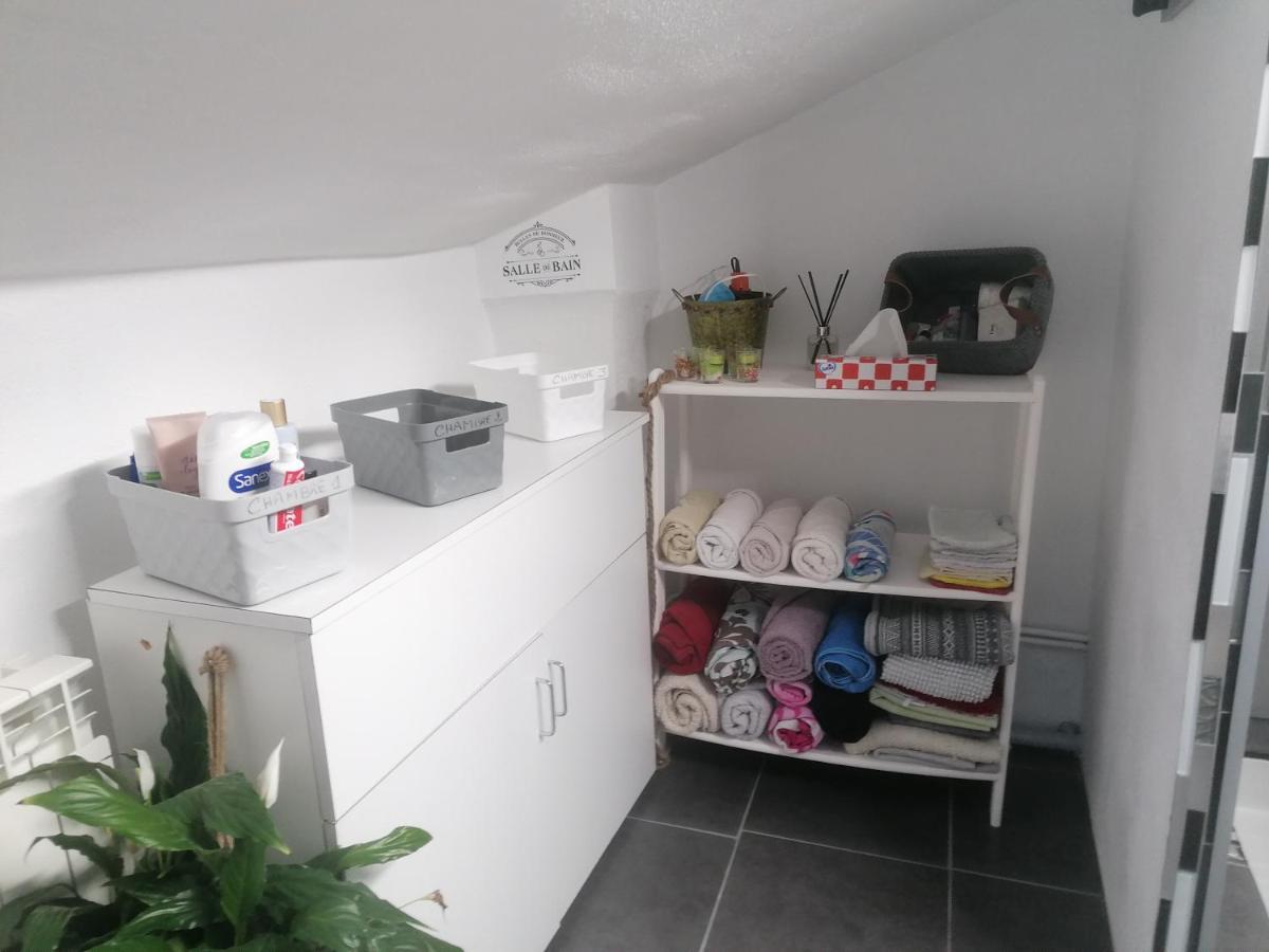 Chambre 23M2 Avec Jardin Wi-Fi Gratuit Saint-Girons Saint-Girons (Ariege) Exterior foto