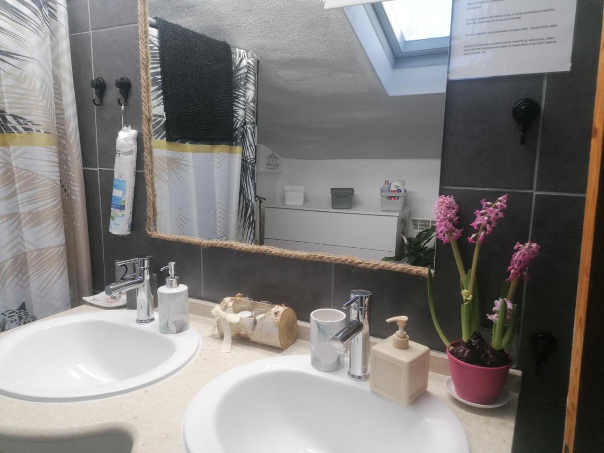 Chambre 23M2 Avec Jardin Wi-Fi Gratuit Saint-Girons Saint-Girons (Ariege) Exterior foto