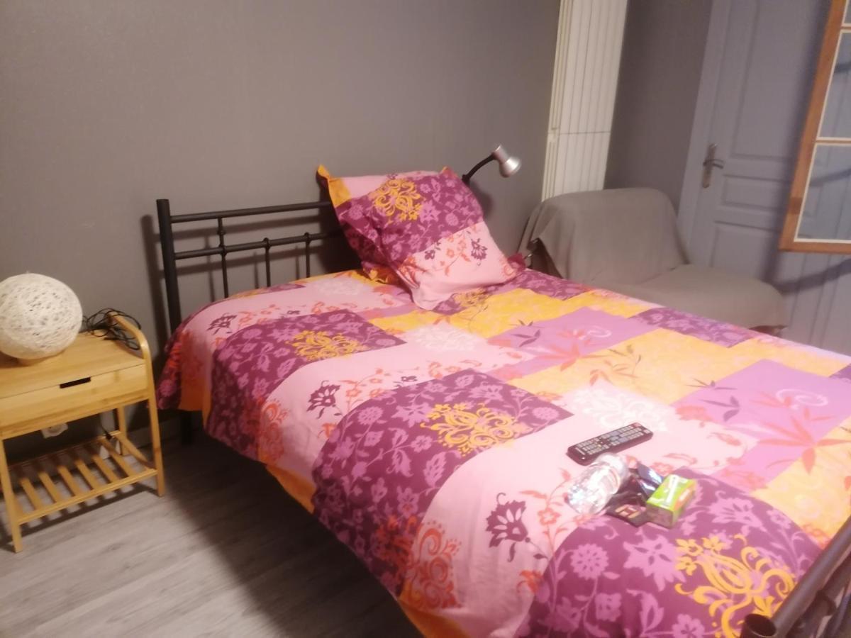 Chambre 23M2 Avec Jardin Wi-Fi Gratuit Saint-Girons Saint-Girons (Ariege) Exterior foto